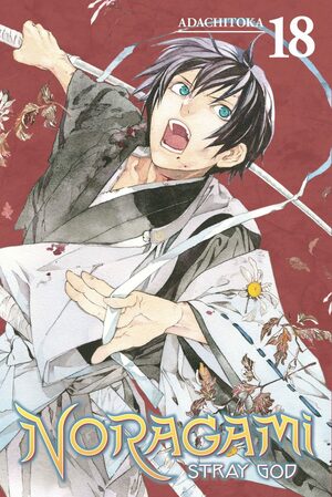 Noragami: Stray God, Vol. 18 by Adachitoka