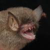 d_karlshausen's profile picture