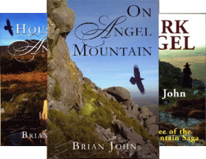 The Angel Mountain Saga (8 Book Series) by Brian John