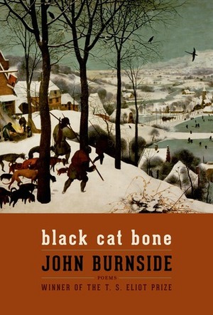 Black Cat Bone: Poems by John Burnside