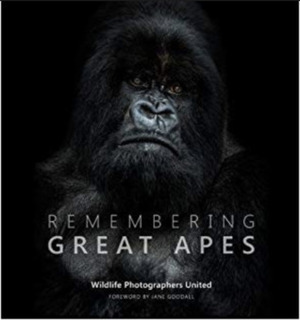 Remembering Great Apes by Wildlife Photographers United