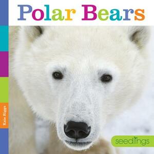 Seedlings Polar Bears by Kate Riggs