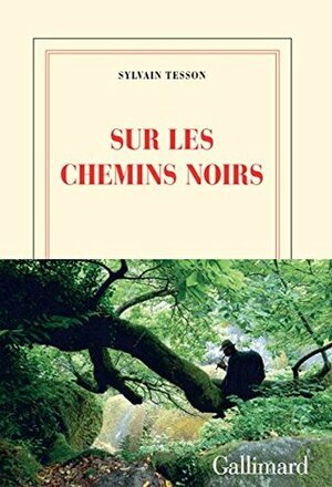 Sur les chemins noirs by Sylvain Tesson