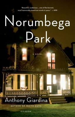 Norumbega Park by Anthony Giardina