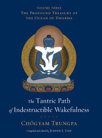 The Tantric Path of Indestructible Wakefulness (volume 3): The Profound Treasury of the Ocean of Dharma by Judith L. Lief, Chögyam Trungpa