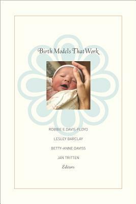 Birth Models That Work by Betty-Anne Daviss, Robbie Davis-Floyd, Lesley Barclay, Jan Tritten