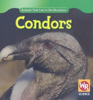 Condors by JoAnn Early Macken