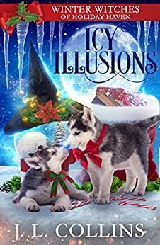 Icy Illusions by J.L. Collins