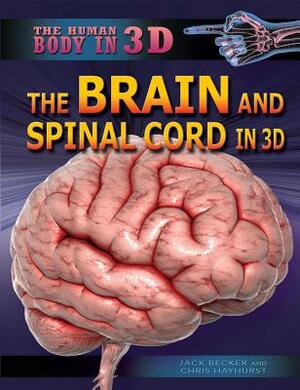 The Brain and Spinal Cord in 3D by Chris Hayhurst, Jack Becker