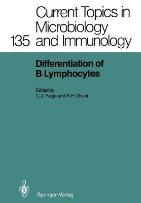 Differentiation of B Lymphocytes by 