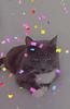 elessahr's profile picture