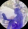 liseuse_etoile's profile picture
