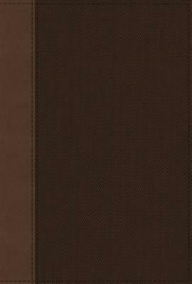 Nrsv, Cultural Backgrounds Study Bible, Leathersoft, Tan/Brown, Comfort Print: Bringing to Life the Ancient World of Scripture by The Zondervan Corporation