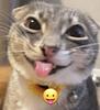 laurenlisbeth's profile picture