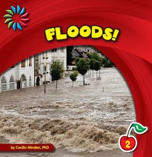 Floods! by Cecilia Minden