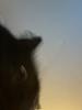 emptyreadings's profile picture