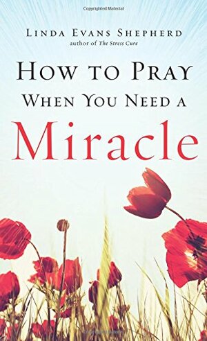 How to Pray When You Need a Miracle by Linda Evans Shepherd