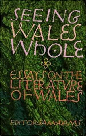 Seeing Wales Whole: Essays on the Literature of Wales in Honour of Meic Stephens by Meic Stephens, Sam Adams