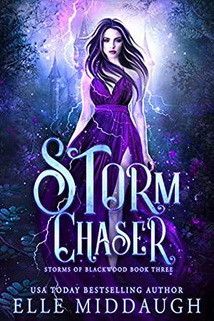 Storm Chaser by Elle Middaugh