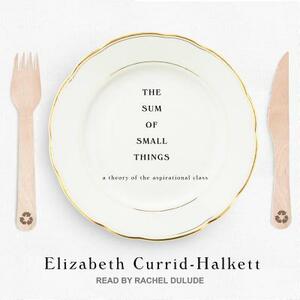 The Sum of Small Things: A Theory of the Aspirational Class by Elizabeth Currid-Halkett