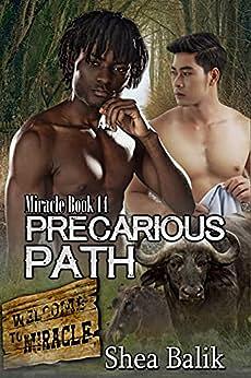 Precarious Path by Shea Balik
