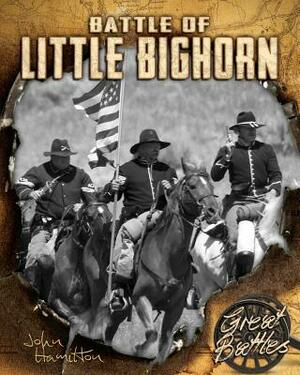 Battle of Little Bighorn by John Hamilton