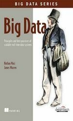 Big Data: Principles and Best Practices of Scalable Real-Time Data Systems by James Warren, Nathan Marz