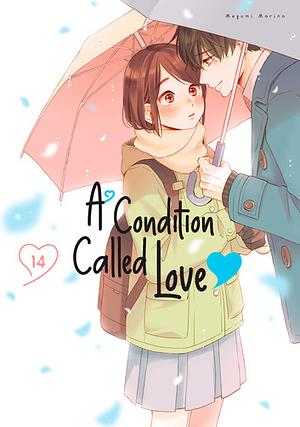 A Condition Called Love, Volume 14 by Megumi Morino