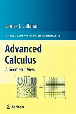 Advanced Calculus: A Geometric View by James J. Callahan
