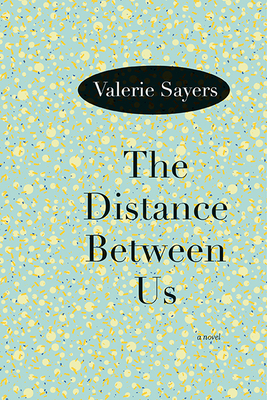 The Distance Between Us by Valerie Sayers