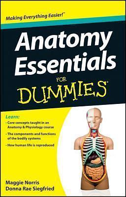 Anatomy Essentials: For Dummies by Maggie A. Norris, Maggie A. Norris, Donna Rae Siegfried