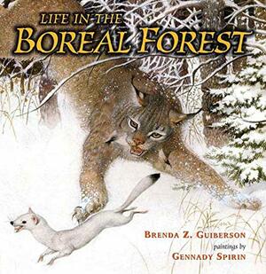 Life in the Boreal Forest by Brenda Z. Guiberson