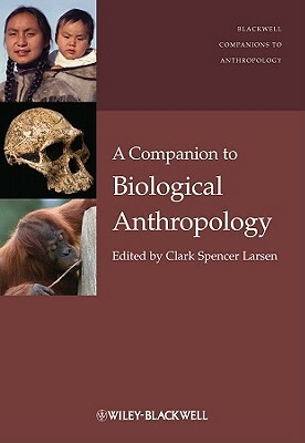 A Companion to Biological Anthropology by 