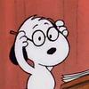 picnicali's profile picture