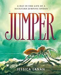 Jumper: A Day in the Life of a Backyard Jumping Spider by Jessica Lanan