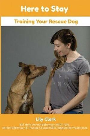 Here to Stay: Training Your Rescue Dog by Ian Dunbar, Lily Clark