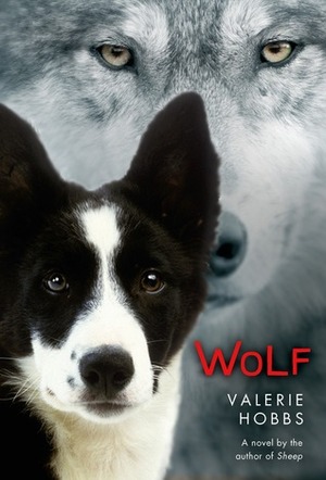 Wolf by Valerie Hobbs