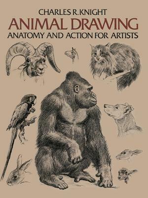 Animal Drawing: Its Origins, Ancient Forms and Modern Usage by Charles Knight
