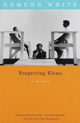 Forgetting Elena by Edmund White