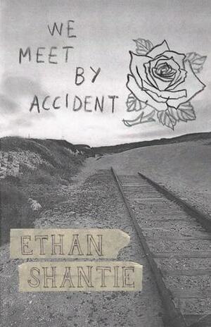 We Meet By Accident by Ethan Shantie