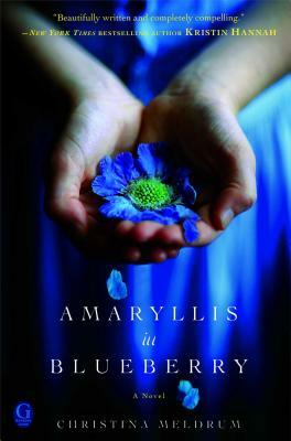 Amaryllis in Blueberry by Christina Meldrum