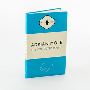 Adrian Mole: The Collected Poems by Sue Townsend