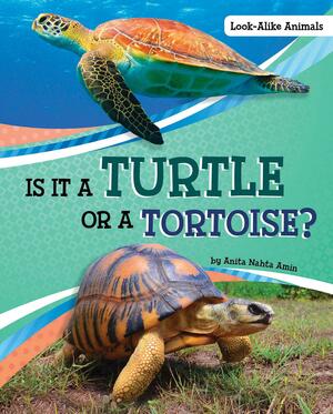 Is It a Turtle Or a Tortoise? by Anita Nahta Amin