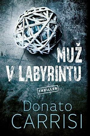 Muž v labyrintu by Donato Carrisi