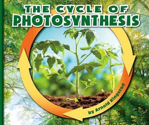 The Cycle of Photosynthesis by Arnold Ringstad