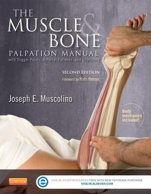 The Muscle and Bone Palpation Manual with Trigger Points, Referral Patterns and Stretching by Joseph E. Muscolino