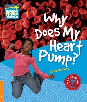 Why Does My Heart Pump? Level 6 Factbook by Helen Bethune