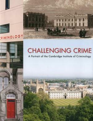 Challenging Crime by Catharine Walston, Anthony Bottoms