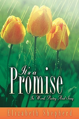It's A Promise by Elizabeth Shepherd
