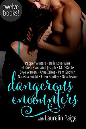 Dangerous Encounters by Laurelin Paige